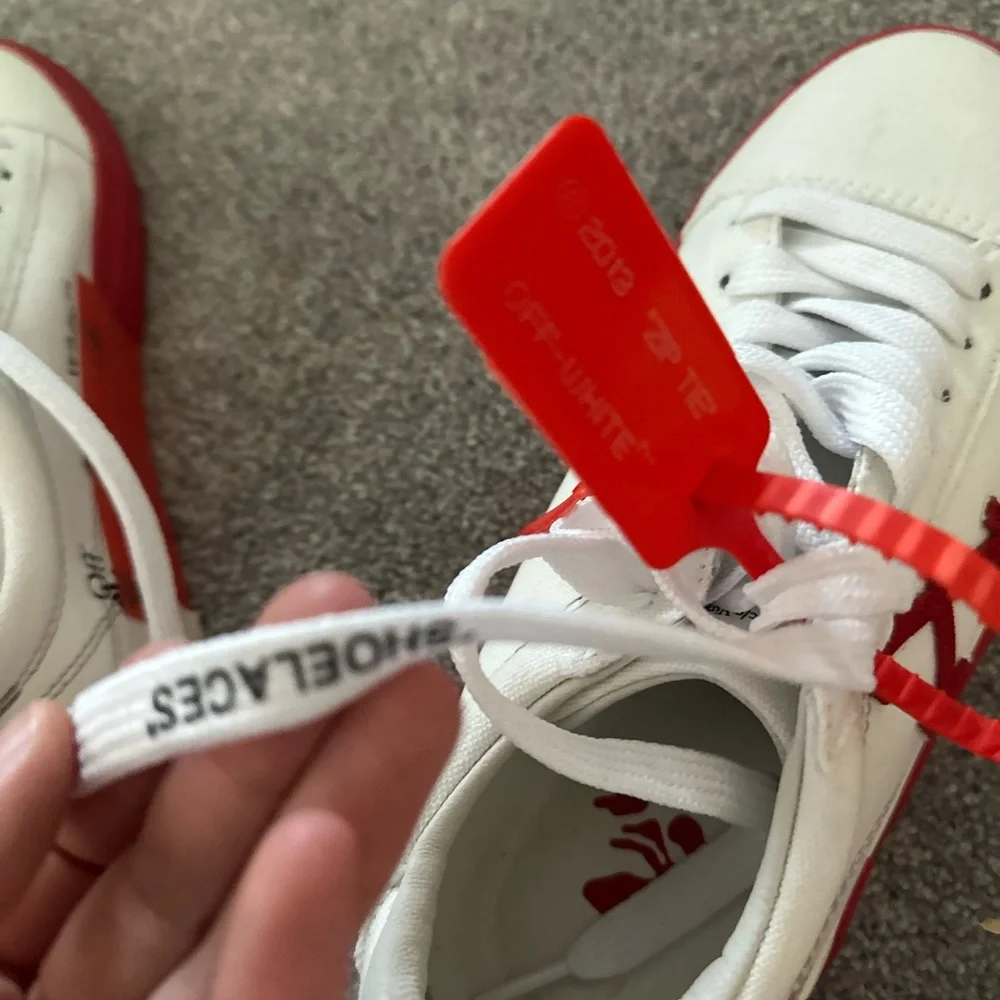 Off-White Lace-Up Cotton Canvas Sneakers - Picture 4 of 9